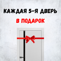 5-я дверь в подарок